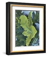 Green Oak Leaves, c.1923-Georgia O'Keeffe-Framed Art Print