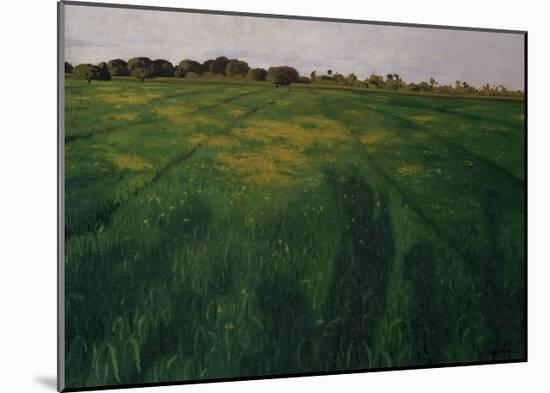 Green Oat Field-Félix Vallotton-Mounted Giclee Print