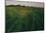 Green Oat Field-Félix Vallotton-Mounted Giclee Print