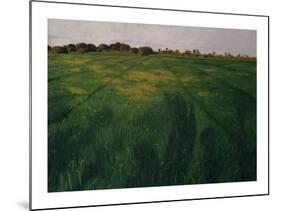 Green Oat Field-Félix Vallotton-Mounted Giclee Print