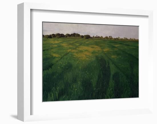 Green Oat Field-Félix Vallotton-Framed Giclee Print