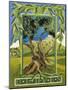Green Olives, 2014-Jennifer Abbott-Mounted Giclee Print
