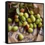 Green Olives on Burlap-George Seper-Framed Stretched Canvas