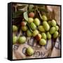 Green Olives on Burlap-George Seper-Framed Stretched Canvas