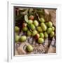 Green Olives on Burlap-George Seper-Framed Photographic Print