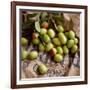 Green Olives on Burlap-George Seper-Framed Photographic Print