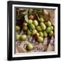 Green Olives on Burlap-George Seper-Framed Photographic Print