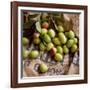 Green Olives on Burlap-George Seper-Framed Photographic Print