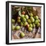 Green Olives on Burlap-George Seper-Framed Photographic Print