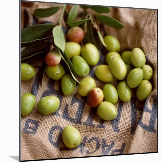 Green Olives on Burlap-George Seper-Mounted Photographic Print