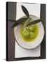 Green Olives on Twig in Bowl of Olive Oil-null-Stretched Canvas