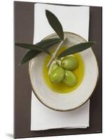 Green Olives on Twig in Bowl of Olive Oil-null-Mounted Photographic Print