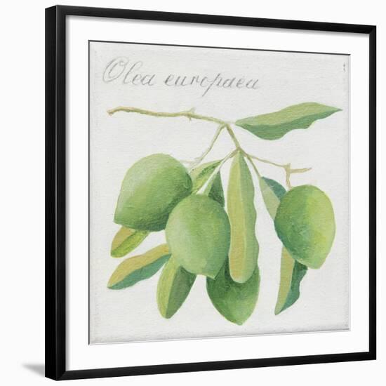 Green Olives-Jennifer Abbott-Framed Giclee Print