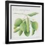 Green Olives-Jennifer Abbott-Framed Giclee Print