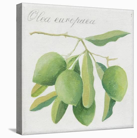 Green Olives-Jennifer Abbott-Stretched Canvas