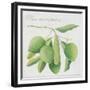 Green Olives-Jennifer Abbott-Framed Giclee Print