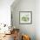 Green Olives-Jennifer Abbott-Framed Giclee Print displayed on a wall