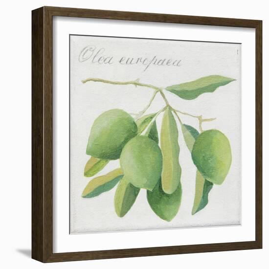 Green Olives-Jennifer Abbott-Framed Giclee Print