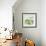 Green Olives-Jennifer Abbott-Framed Giclee Print displayed on a wall