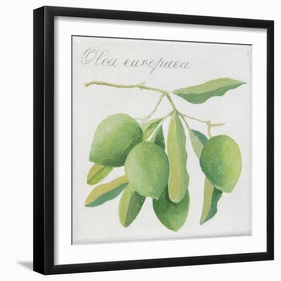 Green Olives-Jennifer Abbott-Framed Giclee Print