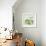 Green Olives-Jennifer Abbott-Framed Giclee Print displayed on a wall