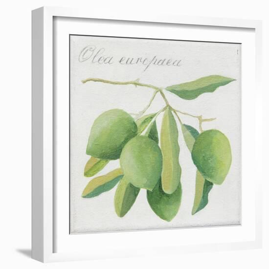 Green Olives-Jennifer Abbott-Framed Giclee Print