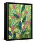 Green ombre-Suzanne Allard-Framed Stretched Canvas