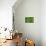 Green Onion-Steve Gadomski-Photographic Print displayed on a wall