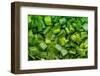 Green Onion-Steve Gadomski-Framed Photographic Print