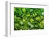 Green Onion-Steve Gadomski-Framed Photographic Print