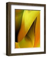 Green Orange Wrap-Ruth Palmer-Framed Art Print