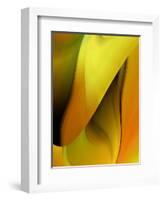 Green Orange Wrap-Ruth Palmer-Framed Art Print