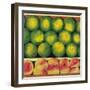 Green Oranges and Peaches, 1999-Pedro Diego Alvarado-Framed Premium Giclee Print