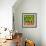 Green Oranges and Peaches, 1999-Pedro Diego Alvarado-Framed Premium Giclee Print displayed on a wall