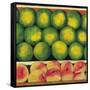 Green Oranges and Peaches, 1999-Pedro Diego Alvarado-Framed Stretched Canvas