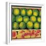 Green Oranges and Peaches, 1999-Pedro Diego Alvarado-Framed Giclee Print