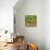 Green Oranges and Peaches, 1999-Pedro Diego Alvarado-Mounted Giclee Print displayed on a wall