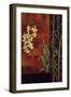 Green Orchid-Jill Deveraux-Framed Art Print