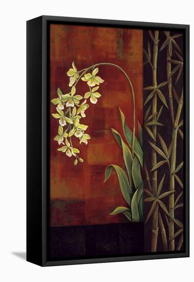 Green Orchid-Jill Deveraux-Framed Stretched Canvas