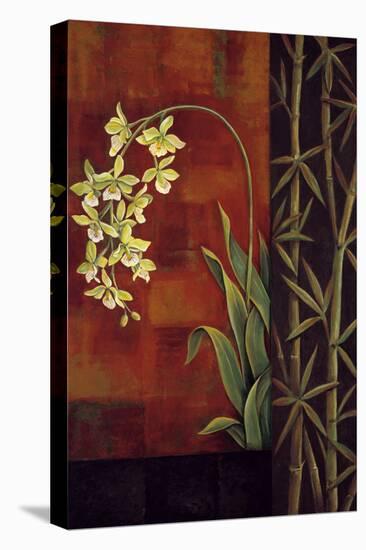 Green Orchid-Jill Deveraux-Stretched Canvas