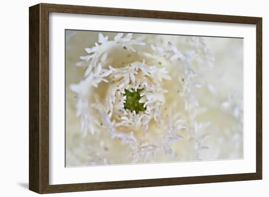 Green Ornamental I-Dana Styber-Framed Photographic Print