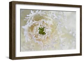 Green Ornamental I-Dana Styber-Framed Photographic Print