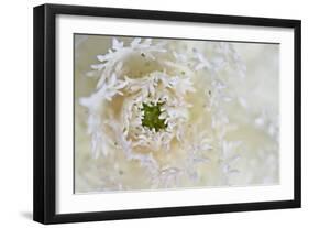 Green Ornamental I-Dana Styber-Framed Photographic Print