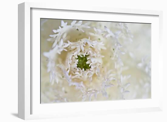 Green Ornamental I-Dana Styber-Framed Photographic Print