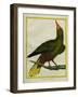 Green Oropendola-Georges-Louis Buffon-Framed Giclee Print