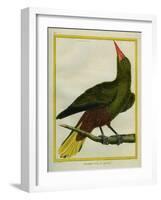 Green Oropendola-Georges-Louis Buffon-Framed Giclee Print