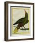 Green Oropendola-Georges-Louis Buffon-Framed Giclee Print