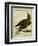 Green Oropendola-Georges-Louis Buffon-Framed Giclee Print