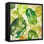 Green Overlay II-Patricia Pinto-Framed Stretched Canvas