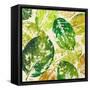 Green Overlay II-Patricia Pinto-Framed Stretched Canvas